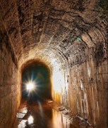 Обложка произведения Коллектор