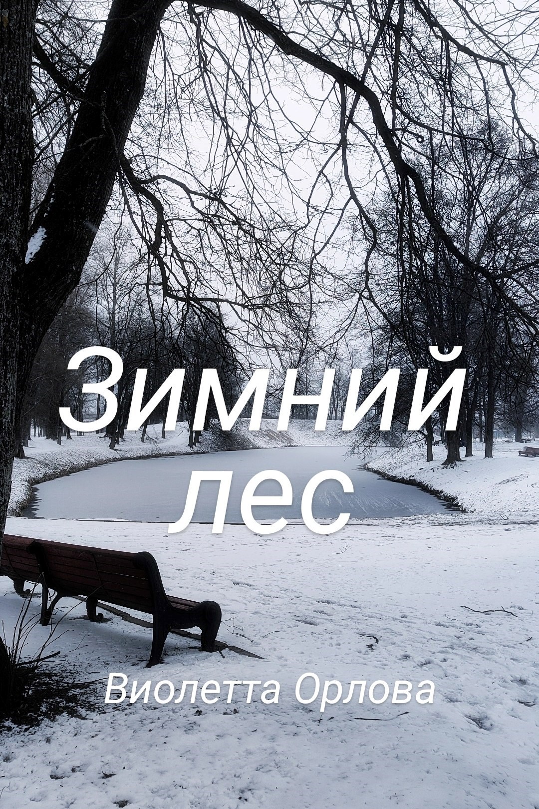 Обложка книги «Зимний лес»