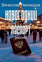 Обложка произведения Новогодний паспорт