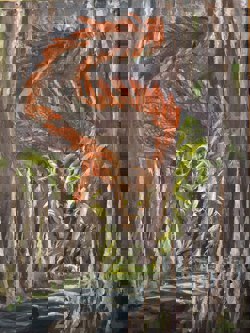 Иллюстрация Алины...