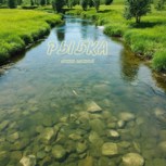 Обложка произведения Рыбка