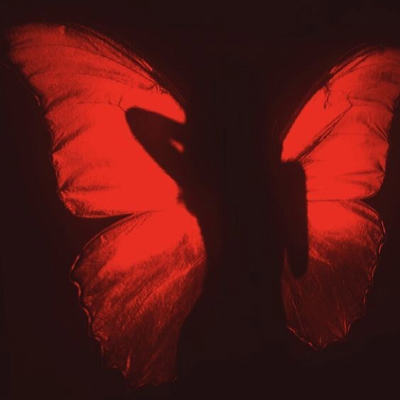 Обложка книги «Бабочка в красной краске»