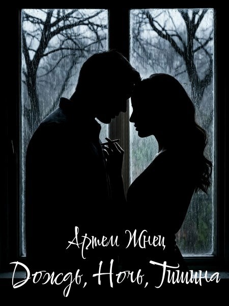 Обложка книги «Дождь, ночь, тишина»