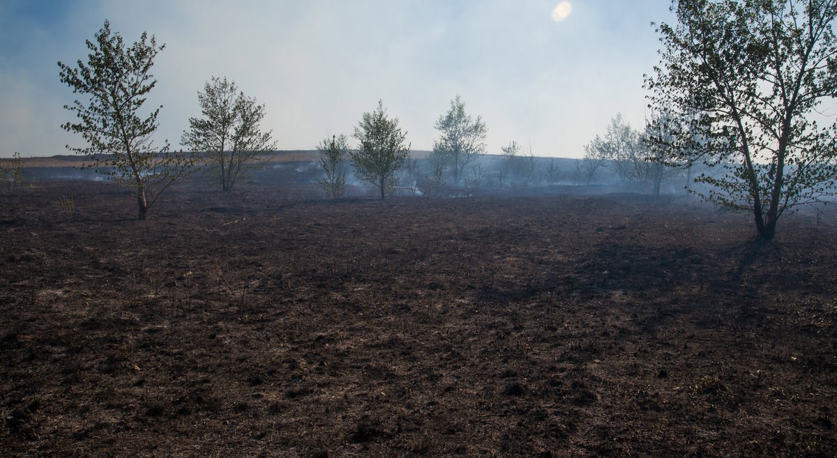Обложка книги «Неизвестная война»
