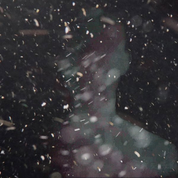 Обложка книги «Облик тени прошлого»