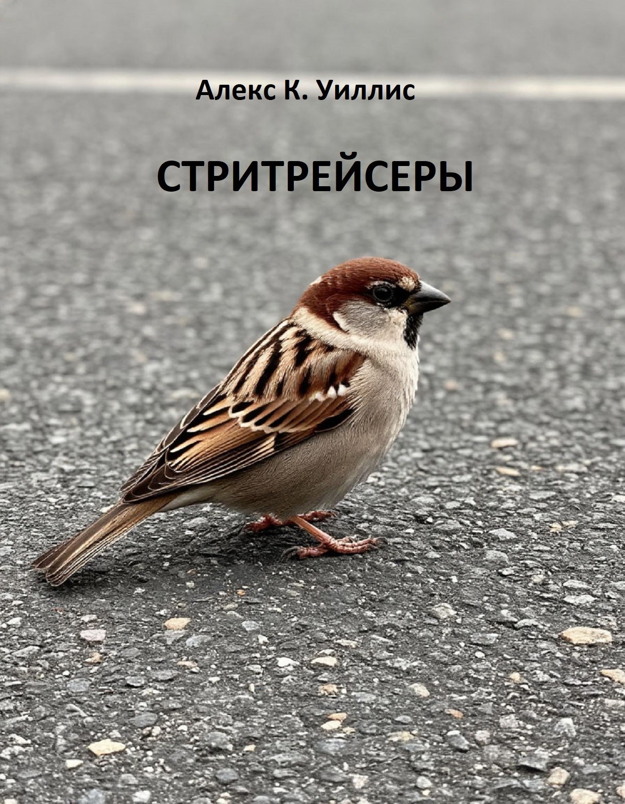 Обложка книги «Стритрейсеры»