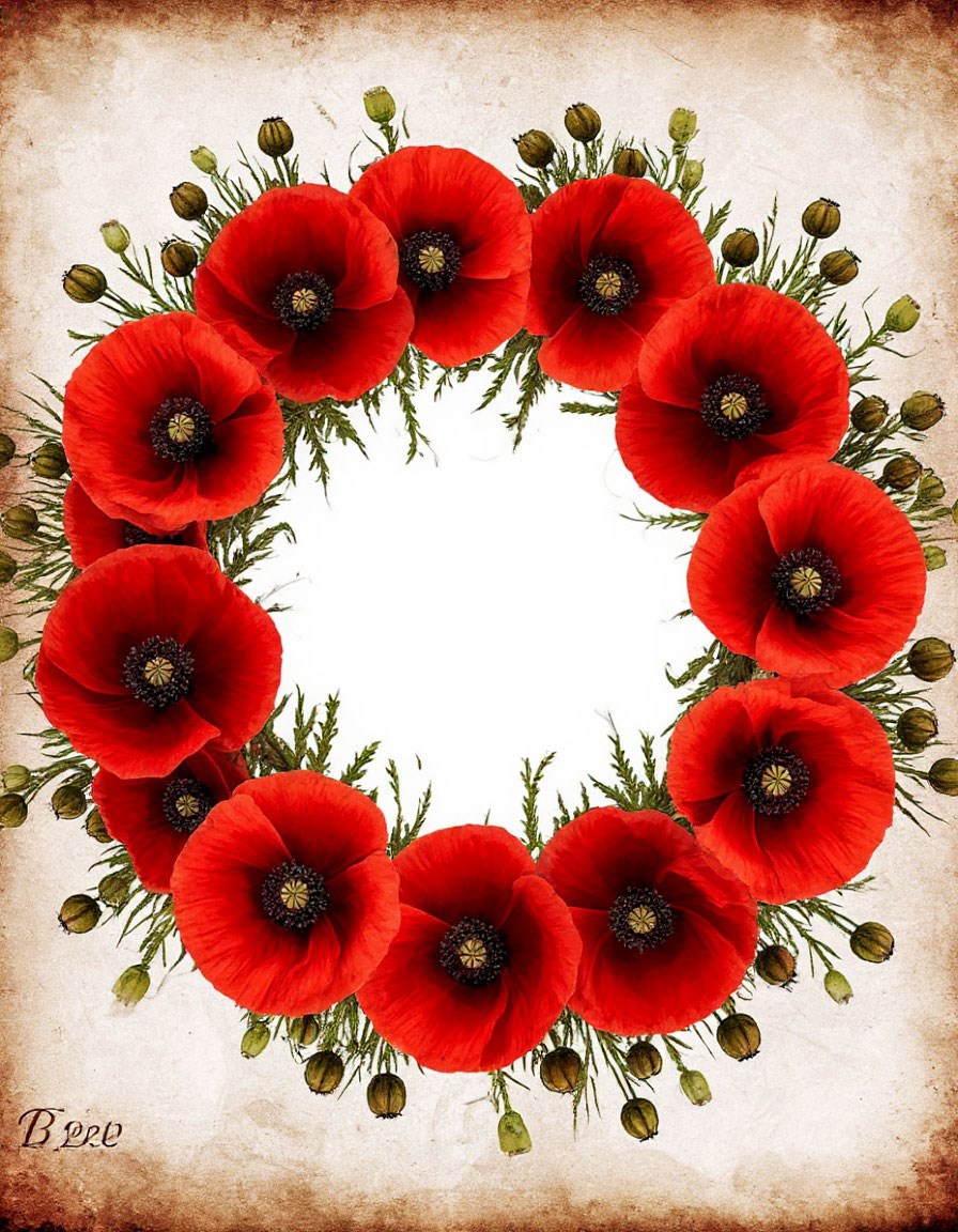 Обложка книги «Наваждение Смерти»