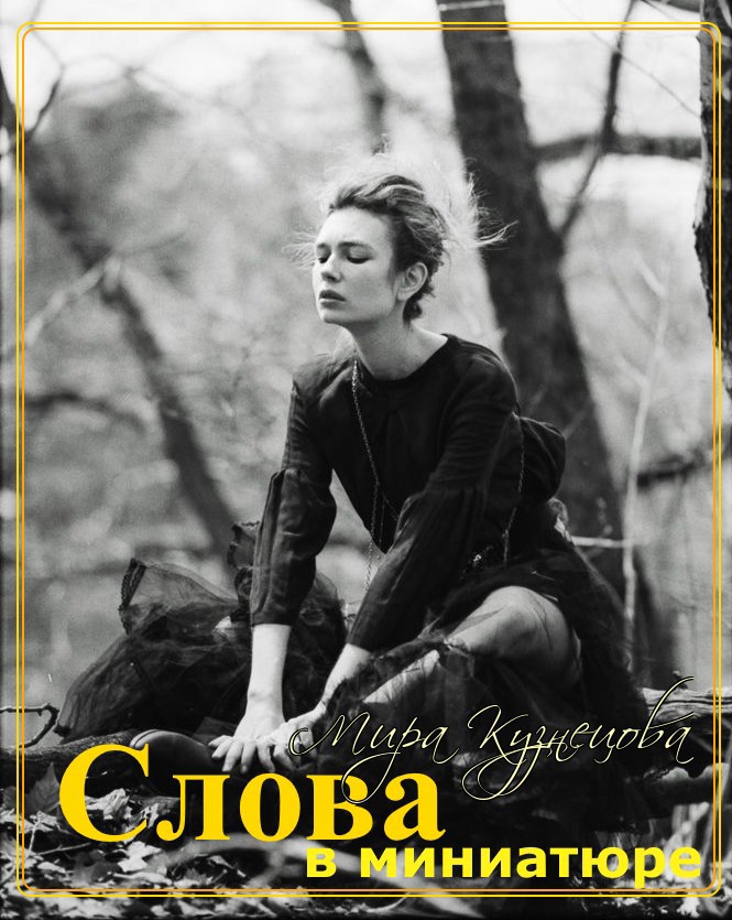 Обложка книги «Слова в миниатюре»