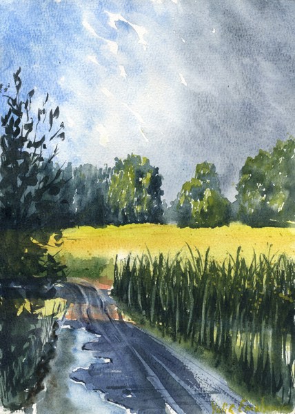 Иллюстрация