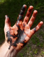 Обложка произведения Солнечник