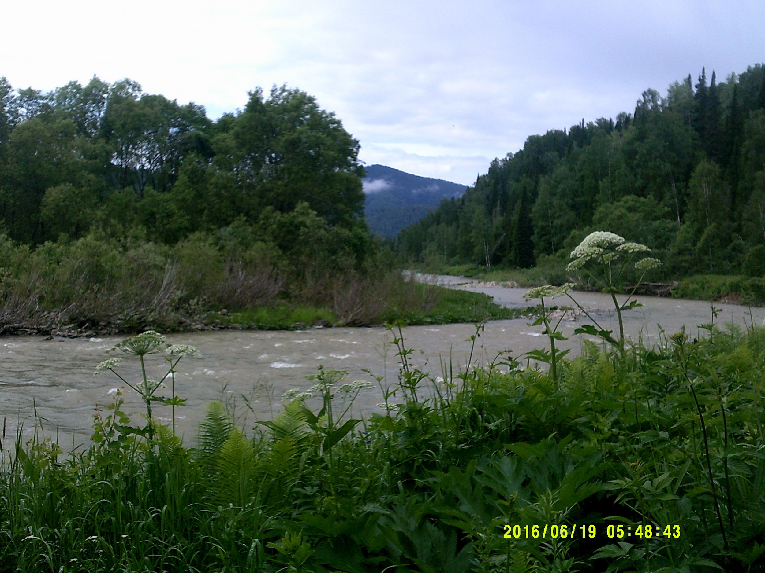 Обложка книги «Ладога, часть третья»