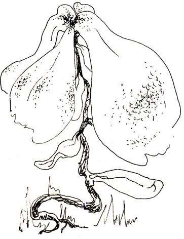 Обложка книги «Потеряный рыцарь»