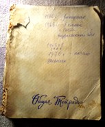 Обложка произведения Дневник советской школьницы