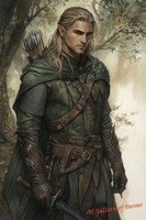 Обложка произведения Эльф не по выбору