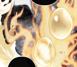 Духовный Хрусталь