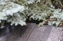 Севастополь. Город у...