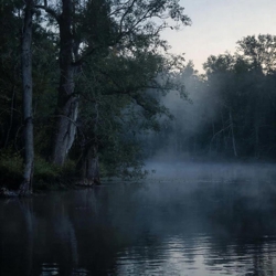 К главе 5-ой