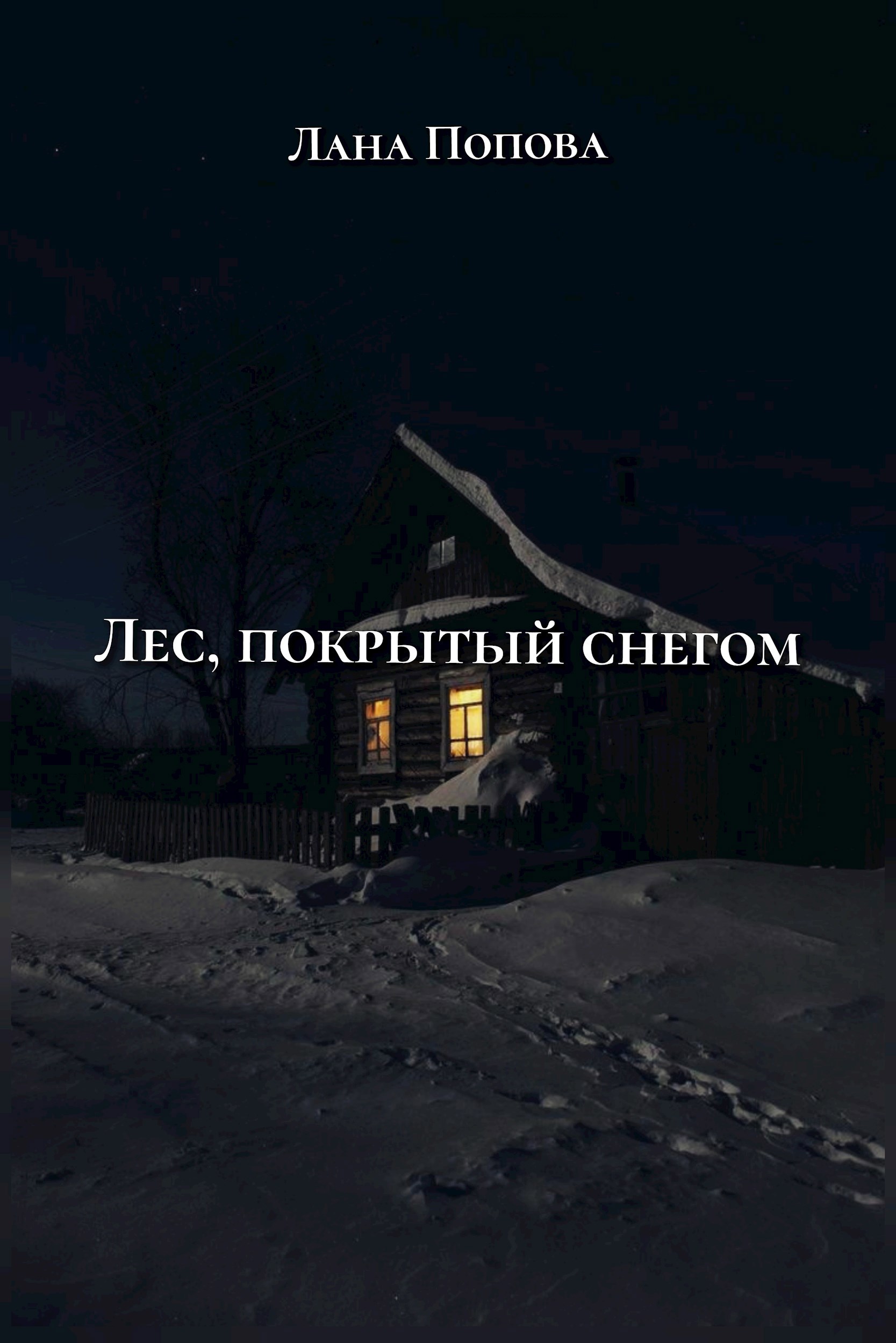 Обложка книги «Лес, покрытый снегом»