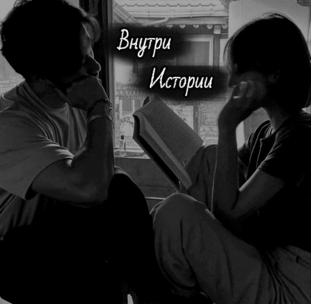 Обложка книги «Внутри истории»