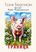 Обложка произведения Тоня Бергман - Граница