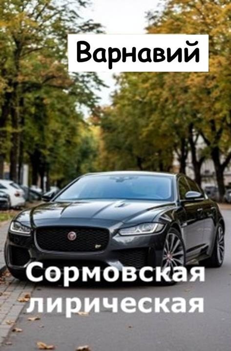 Обложка книги «Сормовская лирическая»