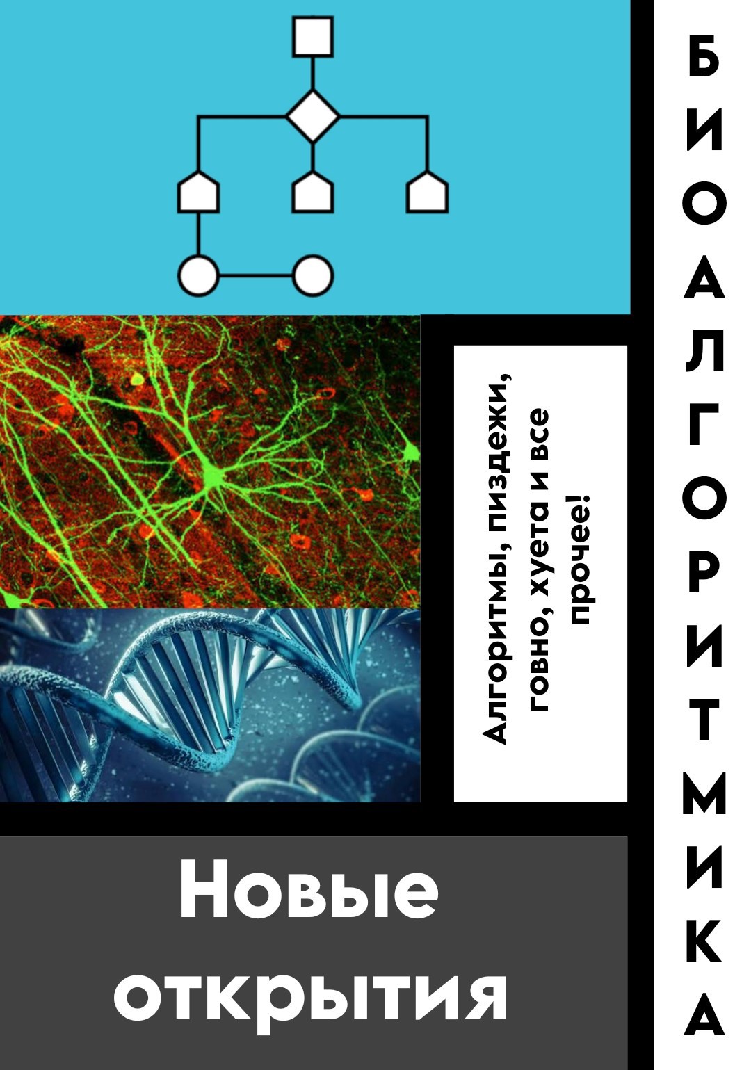 Обложка книги «Биоалгоритмика: новые открытия»