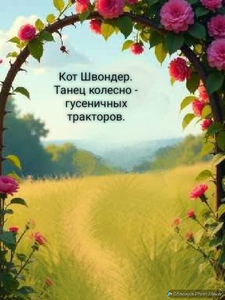 Обложка книги «Танец колесно - гусеничных тракторов.»