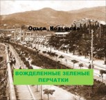 Обложка произведения Вожделенные зелёные перчатки