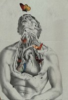 Обложка произведения Анатом