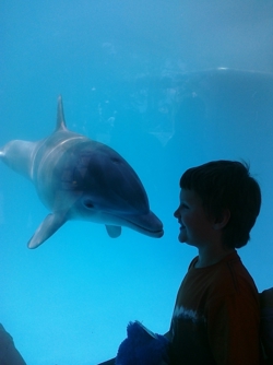 2165 год. Солнечная...