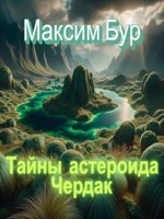 Обложка произведения Тайны астероида Чердак