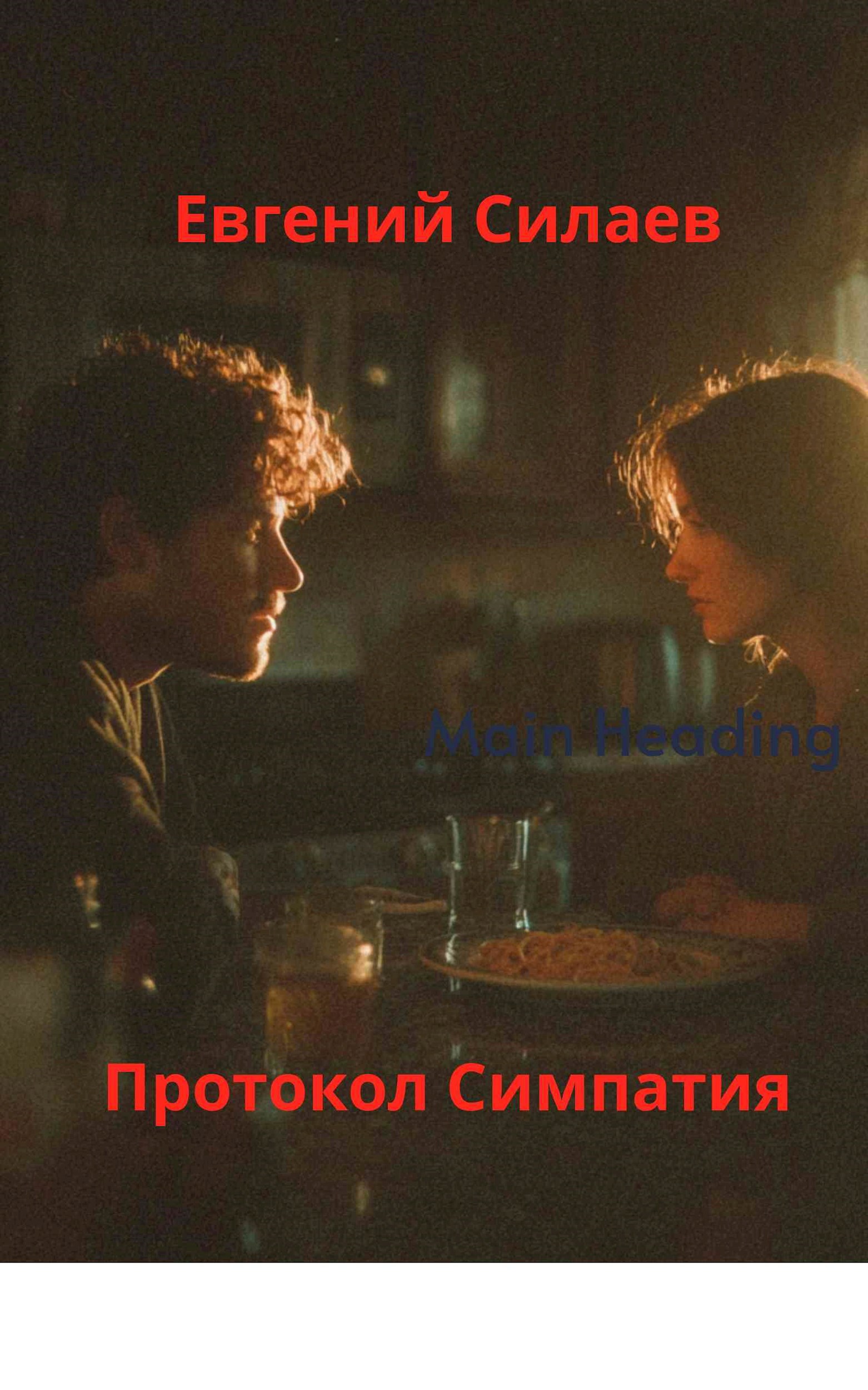 Обложка книги «Протокол Симпатия»