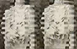 Глава 1 - Александра