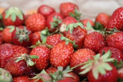 Ориби Камм Пирр -...