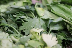 Ориби Камм Пирр -...