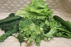 Ориби Камм Пирр -...