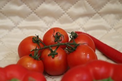 Ориби Камм Пирр -...