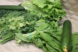 Ориби Камм Пирр -...