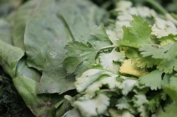 Ориби Камм Пирр -...