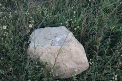 Ориби Каммпирр -...