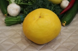 Ориби Камм Пирр -...