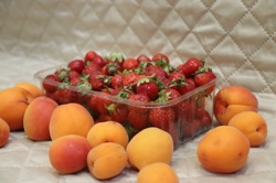 Ориби Камм Пирр -...