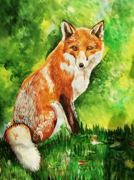 Иллюстрация