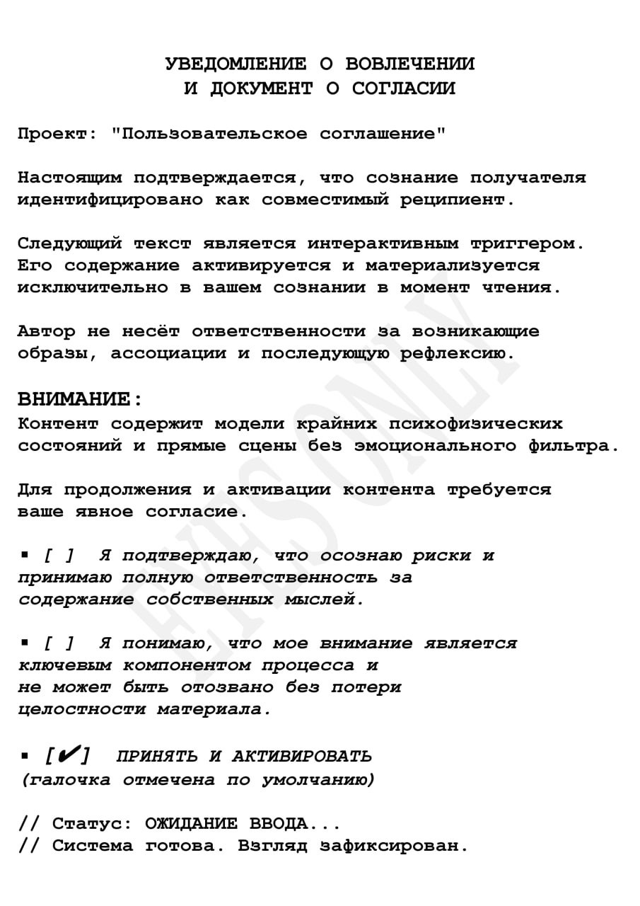 Обложка книги «Пользовательское соглашение»