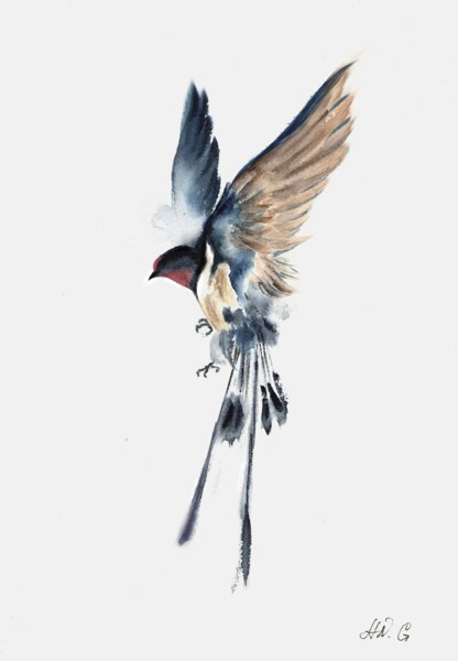 Иллюстрация