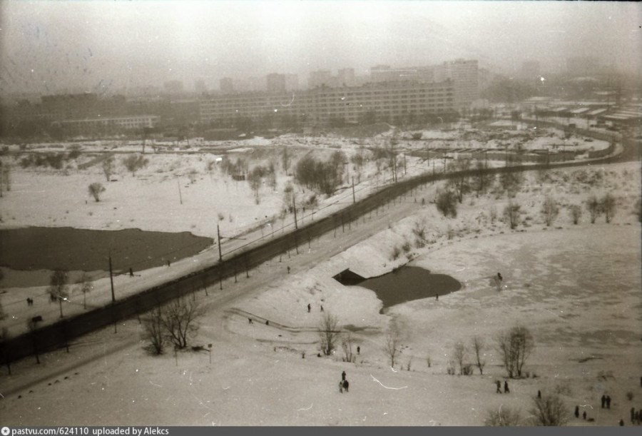 Обложка книги «Печальная история двух влюблённых голубков»