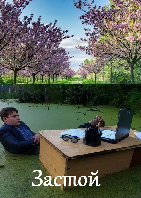 Обложка книги «Застой»