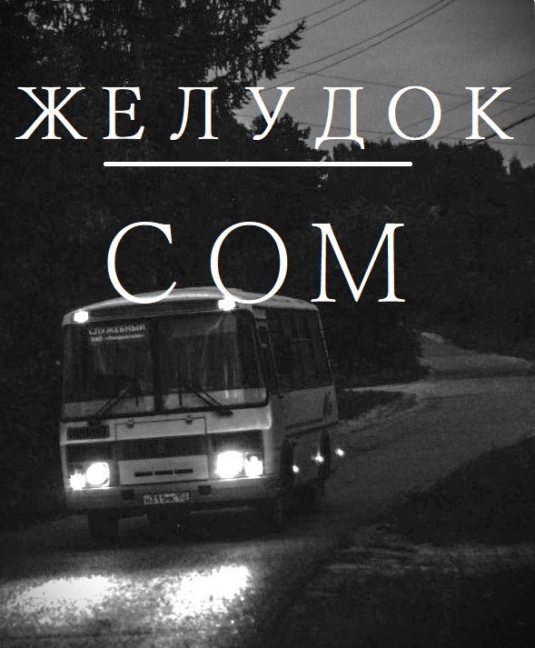 Обложка книги «Желудок»