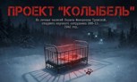 Обложка произведения Проект « Колыбель»