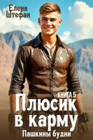 Обложка произведения Плюсик в карму. Книга 5. Пашкины будни.